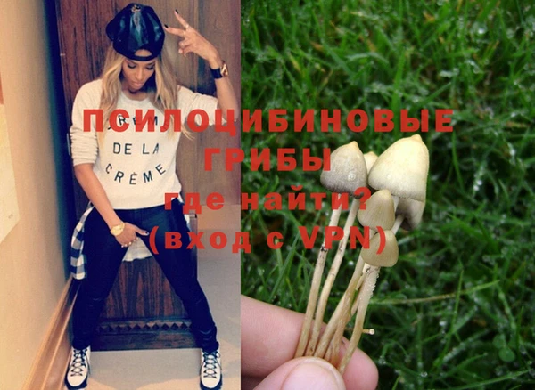 стафф Гусь-Хрустальный