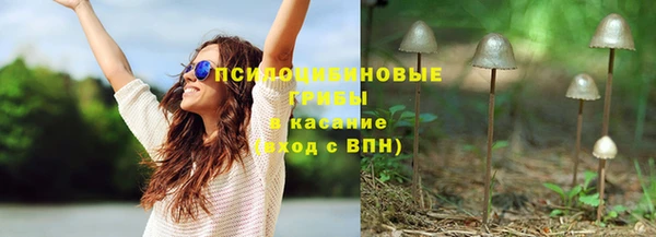 стафф Гусь-Хрустальный