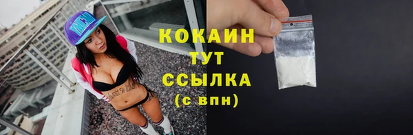стафф Гусь-Хрустальный