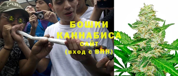 бошки Гусев