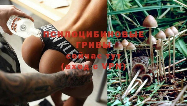 стафф Гусь-Хрустальный