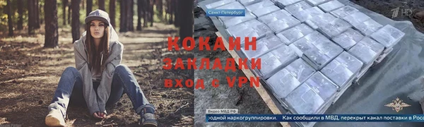 бошки Гусев