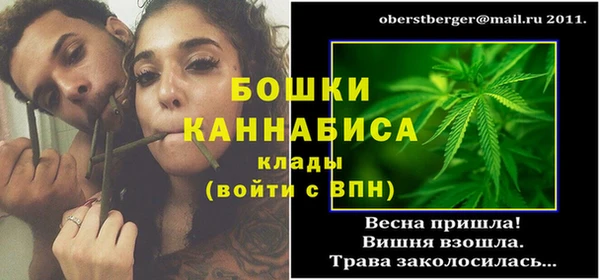 стафф Гусь-Хрустальный