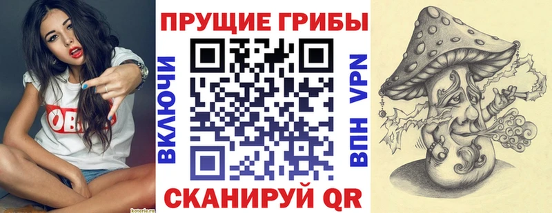 Купить  Бабушкин  Псилоцибиновые грибы Psilocybe 